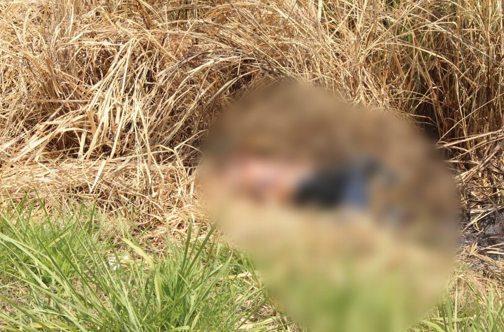 Localizan el cadáver de un hombre en el poblado C-28 de Cárdenas