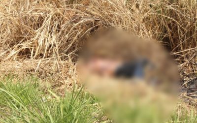 Localizan el cadáver de un hombre en el poblado C-28 de Cárdenas