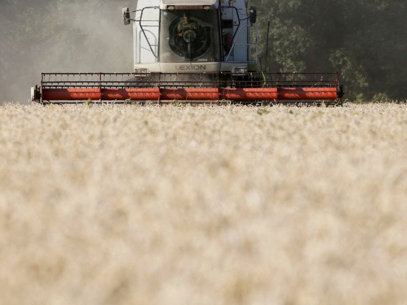 Ucrania pierde 25% de tierras cultivables por la guerra