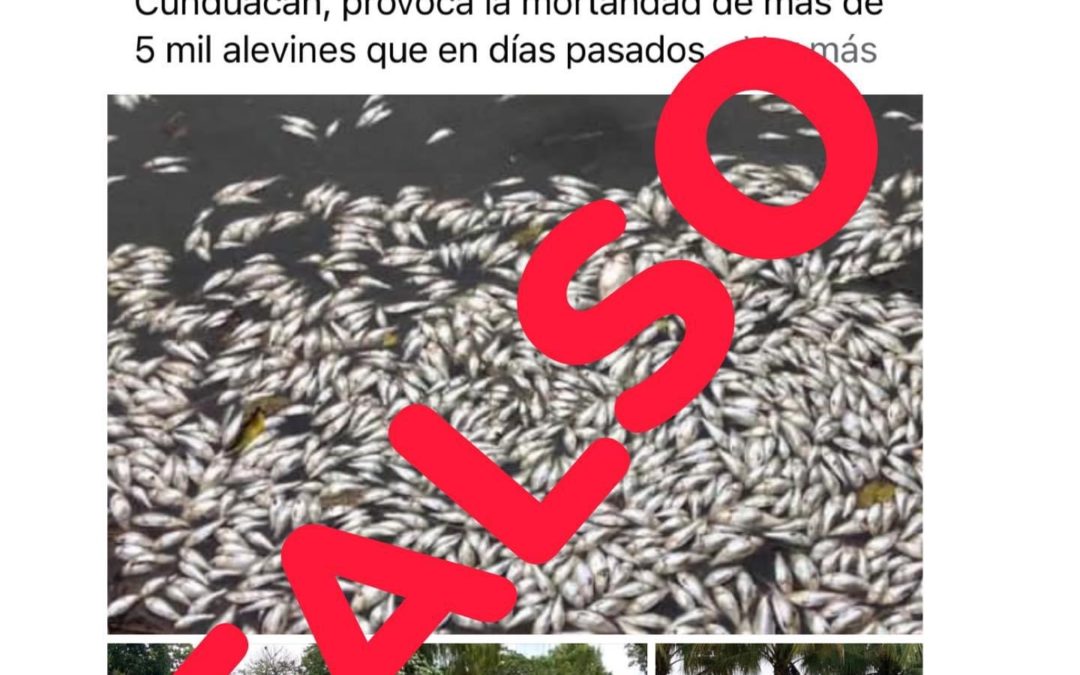 Rechaza Ayuntamiento de Cunduacán mortandad de alevines sembrados en la piscifactoría municipal