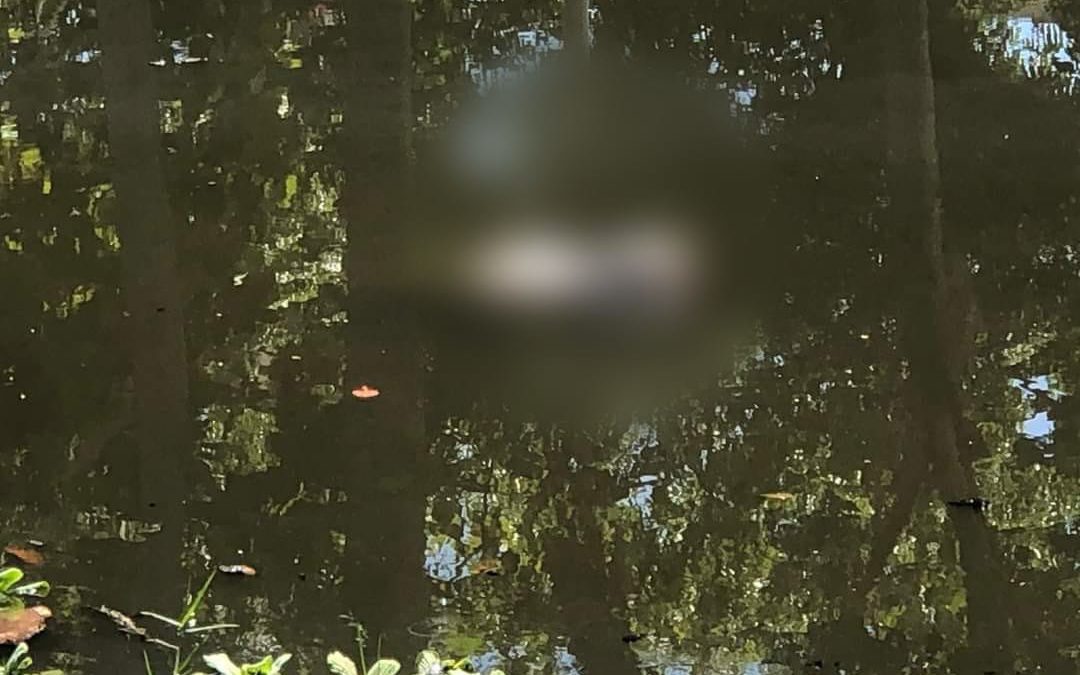 Hallan cadáver en las inmediaciones del río seco en Paraíso