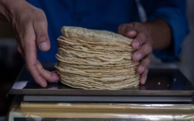 Detectan tortillas ‘pirata’ en Durango, Coahuila y Sinaloa.
