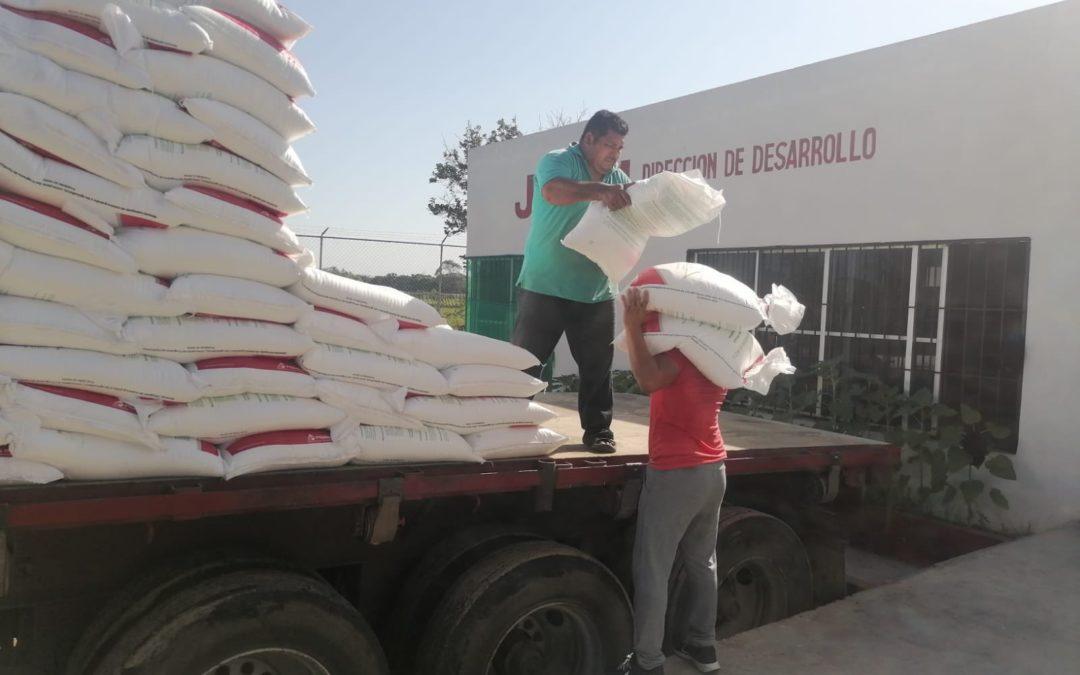 Llega a Tabasco fertilizantes para el Bienestar, se beneficiarán a más de 23 mil productores, informa Segalmex