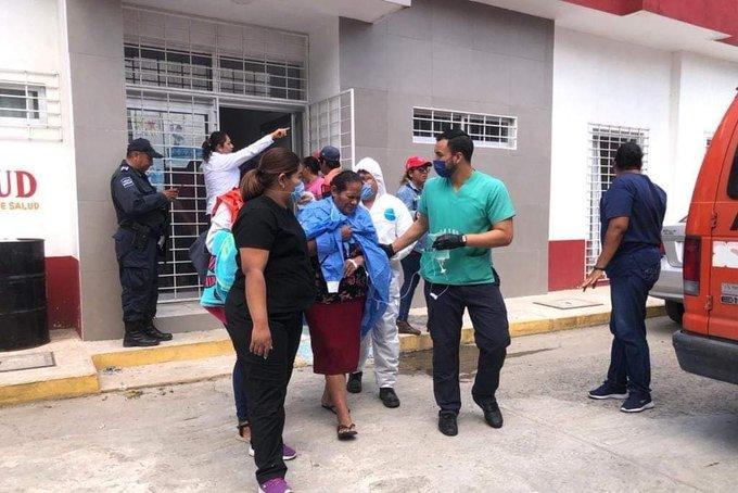 En Teapa, abejas africanizadas atacan escuela primaria en la Villa “Juan Aldama”, hay 5 hospitalizados y una persona muerta.