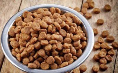 Inflación pega al alimento de mascotas; se vende hasta 19.88% más caro: ANPEC.